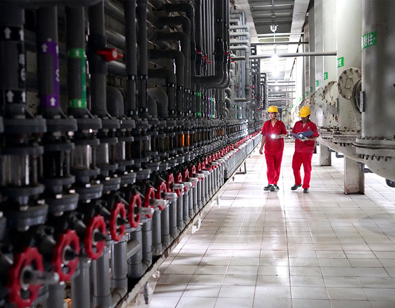 【邯鄲日報】“鹽堿地”崛起“人才綠洲”——晨光生物“引育留用”賦能高質(zhì)量發(fā)展